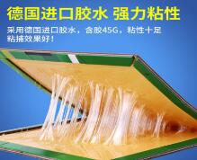 專業滅鼠粘鼠闆