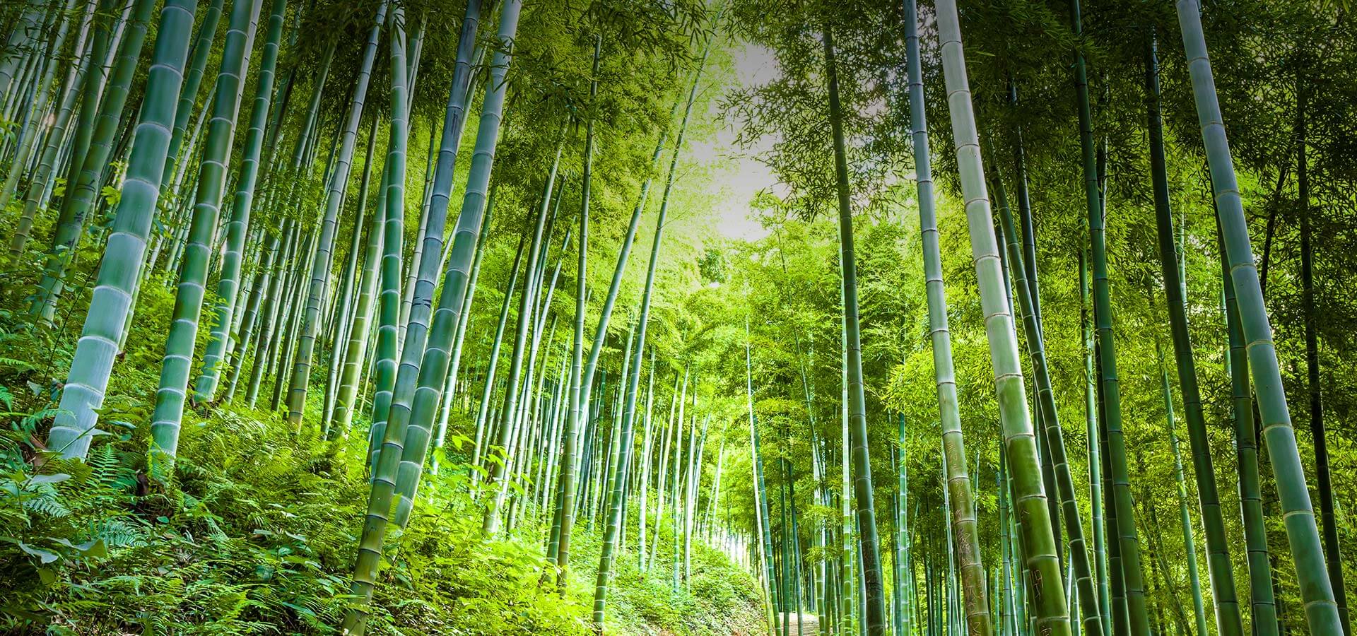 工業六偏磷酸鈉